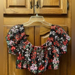 Pins and needles, sheer, crocheted crop top.